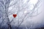 C'� freddo nel mio cuore