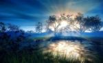 Piccoli cerchi di luce