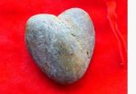 Un cuore