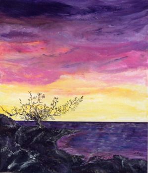 Fuori � viola