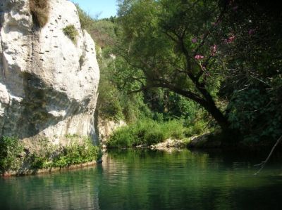 Tra realt� e sogno, l'Anapo