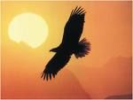 Verso il sole/Verso di te