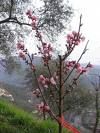 IL GIARDINO D'INVERNO/ viverti