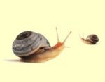 Composizione articolata in tre movimenti
