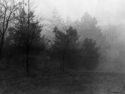 Alle radici della nebbia