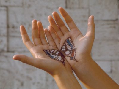 La farfalla dell’amore