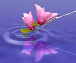 Verit� come petali al vento