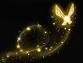 Scie d�amore