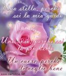 Tu stella cometa