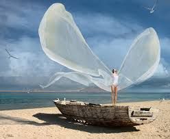 Ali di vento