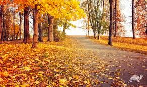 Scorcio d�autunno