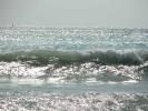 Mare