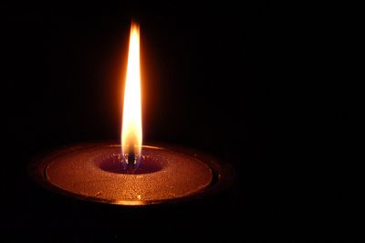 Luce viva