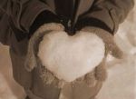 Il mio fiore