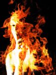 Fuoco