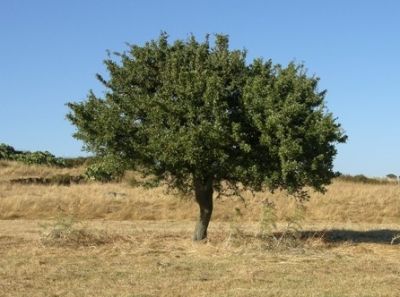 Vellutate emozioni