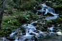 Acqua