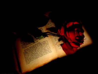 Pagine del cuore