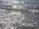 Il sorriso del mare