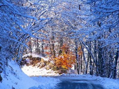 Caldo inverno