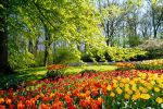 Dolce primavera sei arrivata