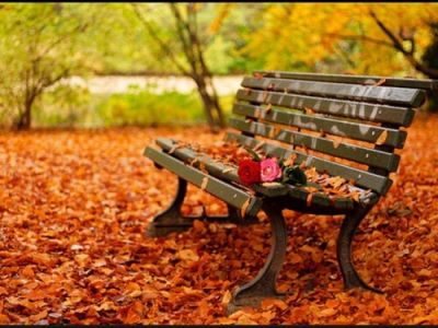 Autunno, profumo d’amore