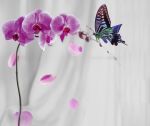 L’amore che nasce