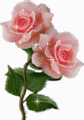 Che � ll�ammore