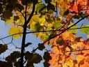 Impressioni d'Autunno