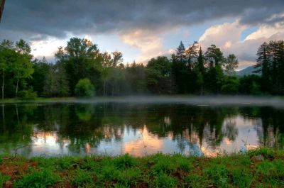 Sogno e realt�