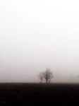 L'ombra di un ritorno