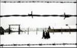 Fiocchi su Auschwitz