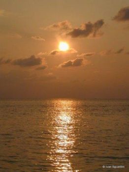 In Alto Mare