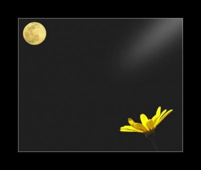 In Un Fioco Riflesso