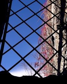 Il Tuo Cielo