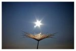 Una Virgola Nel Cielo