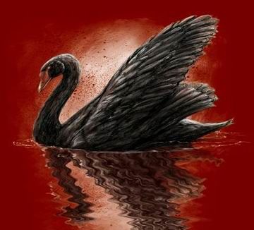 Volo Libero
