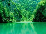 E' Verde Il Tuo Colore