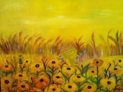 Campo Di Luce