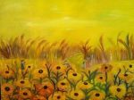 Campo Di Luce