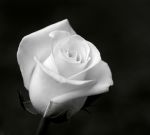 Nessun Dorma