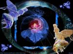 Una Strana Notte
