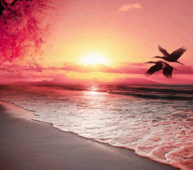 Le jour se l�ve