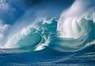 Mare