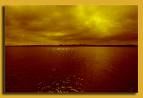 Controluce