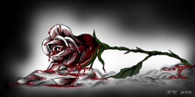è colpa delle rose