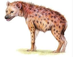 L'abborto