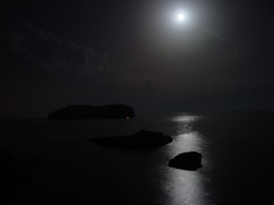 Luminosa verde Notte