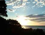 Ti ho pensato all'alba