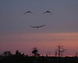 Sorridere sempre